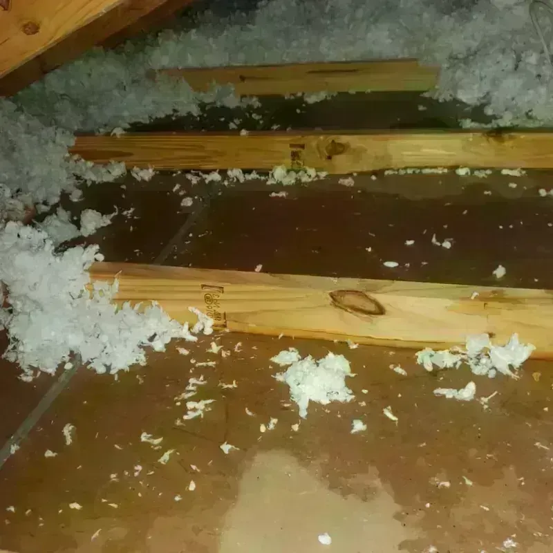 Attic Water Damage in Sulligent, AL